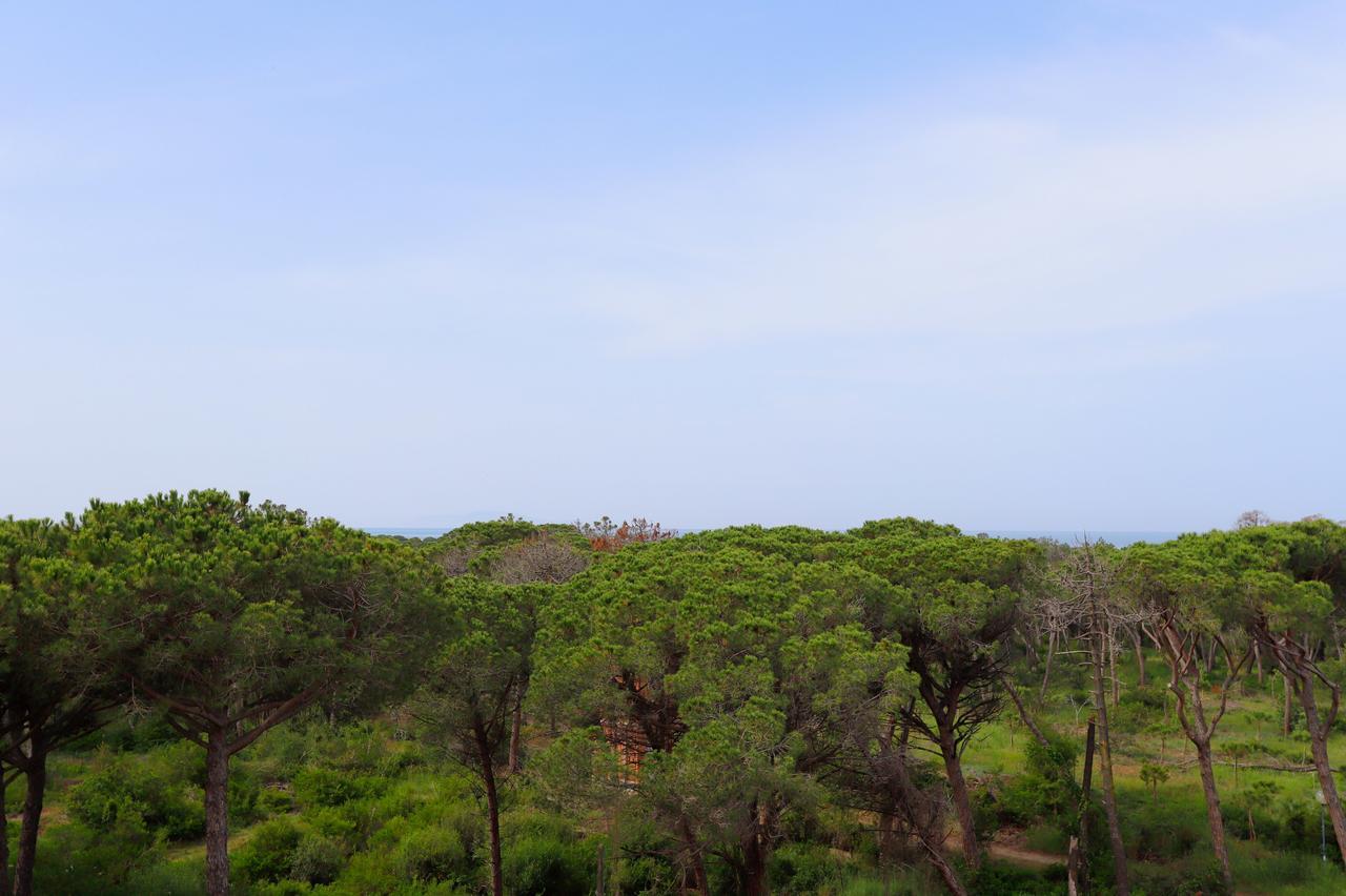 Hotel Grifone Principina a Mare Εξωτερικό φωτογραφία